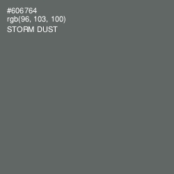 #606764 - Storm Dust Color Image